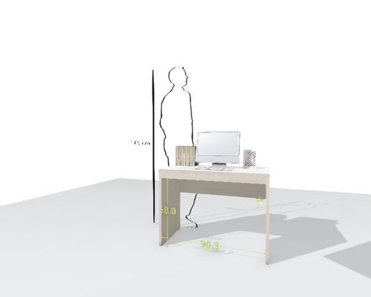 MAIN DESK