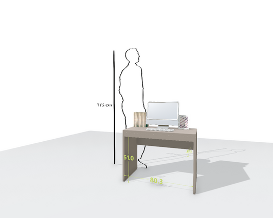 MAIN DESK