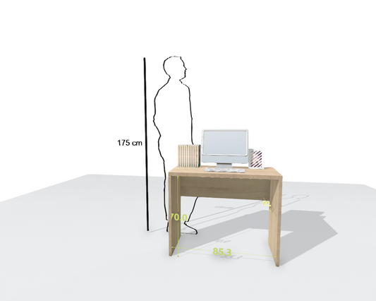 MAIN DESK
