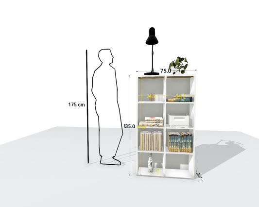 MAIN SHELF