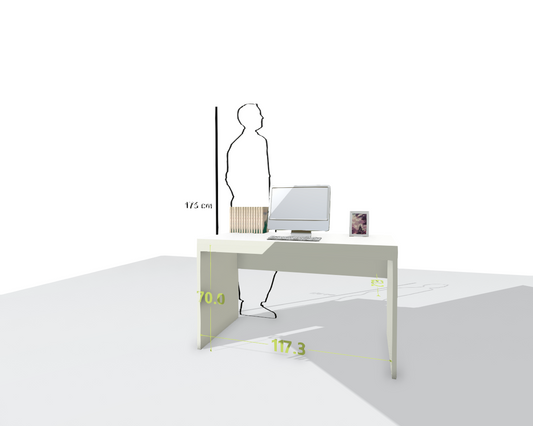 MAIN DESK