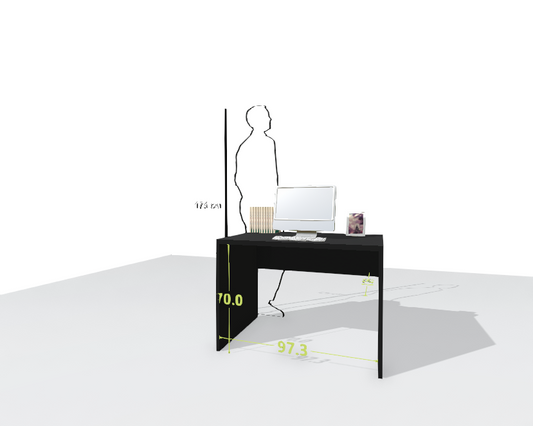 MAIN DESK