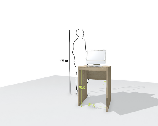 MAIN DESK