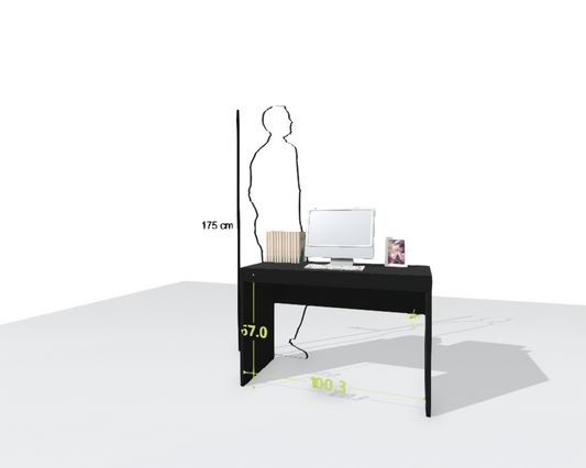 MAIN DESK