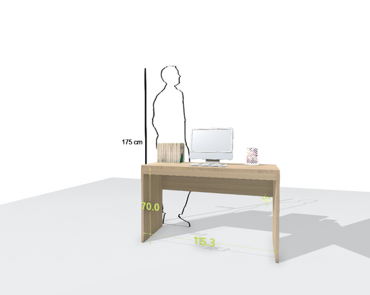 MAIN DESK