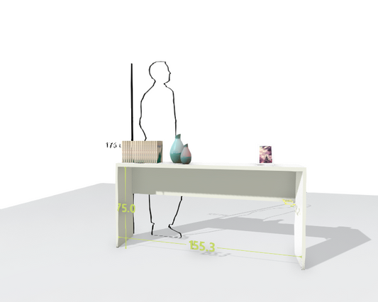MAIN DESK