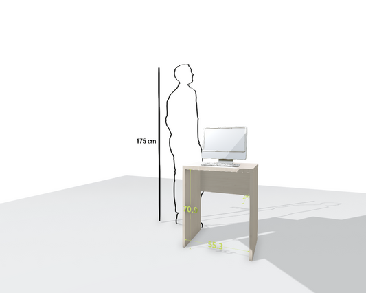 MAIN DESK