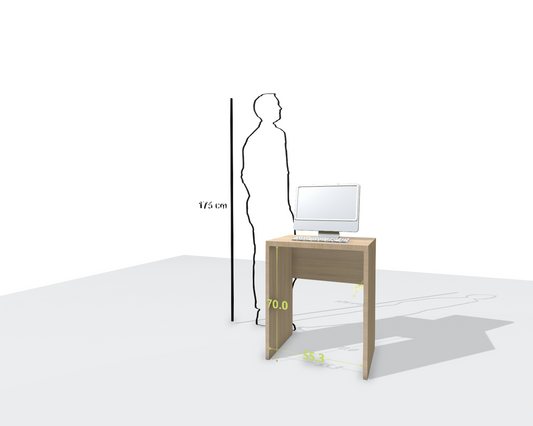 MAIN DESK