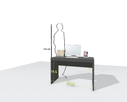 MAIN DESK