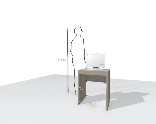 MAIN DESK