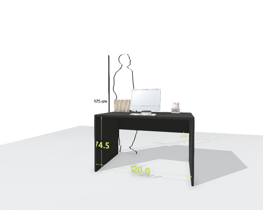 MAIN DESK