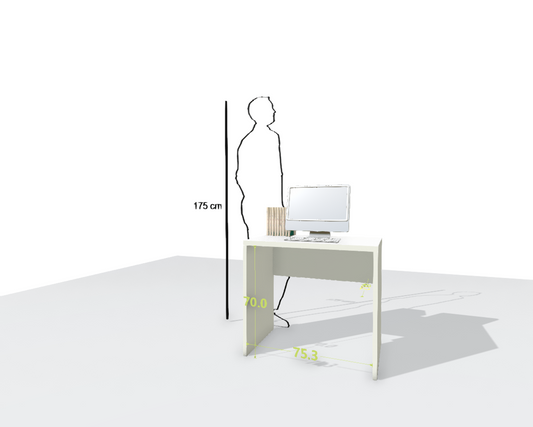 MAIN DESK