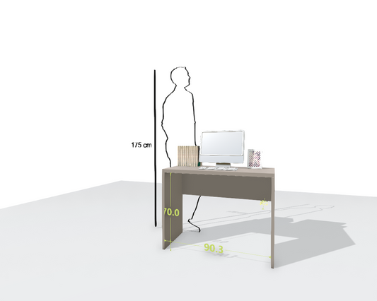 MAIN DESK