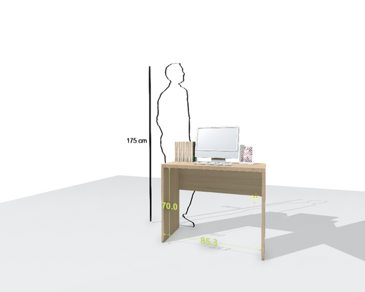 MAIN DESK