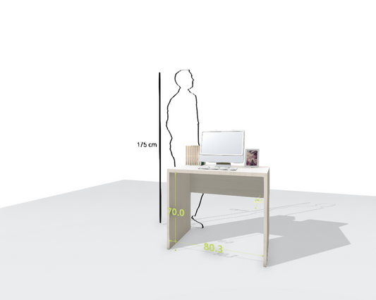 MAIN DESK