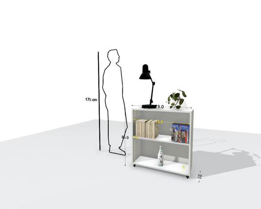 MAIN SHELF