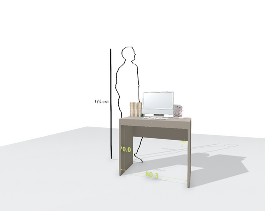 MAIN DESK
