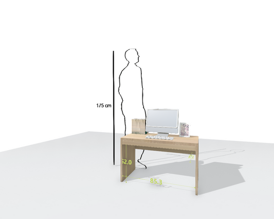 MAIN DESK