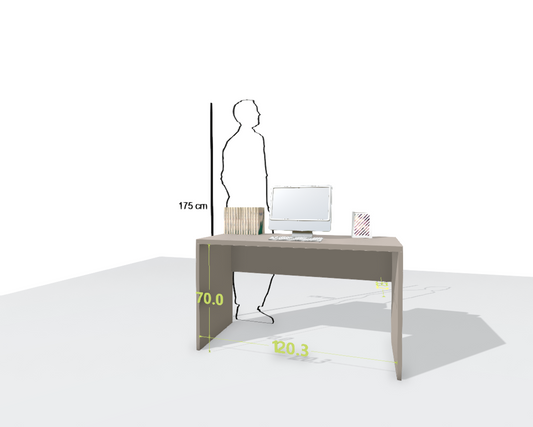 MAIN DESK