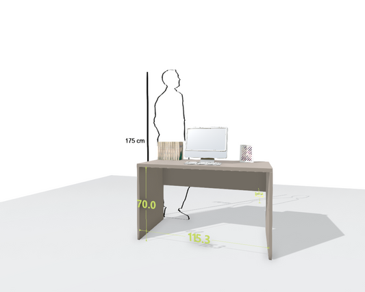 MAIN DESK