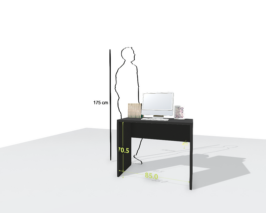 MAIN DESK