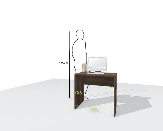 MAIN DESK