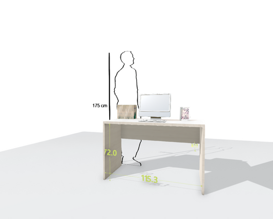 MAIN DESK