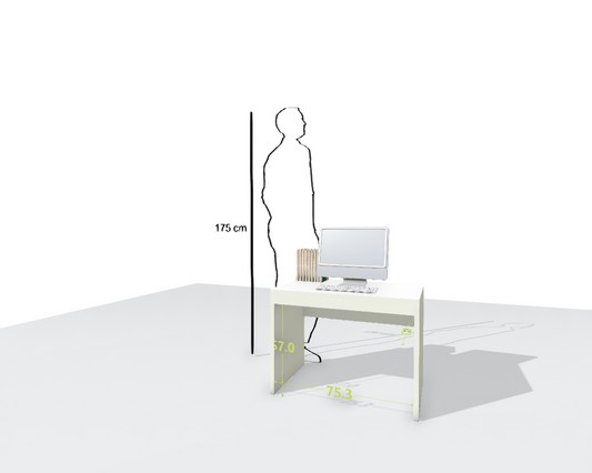 MAIN DESK
