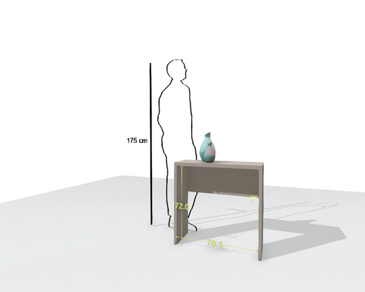 MAIN DESK