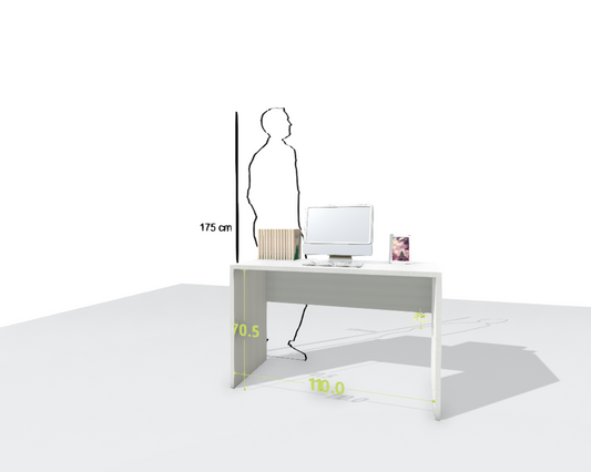 MAIN DESK