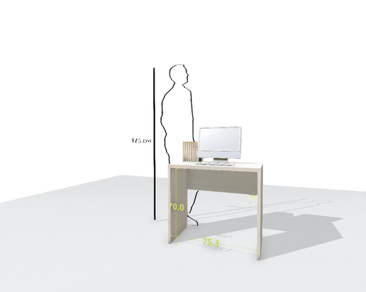 MAIN DESK