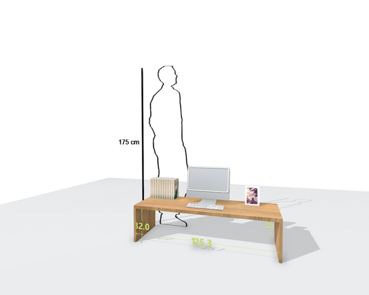 MAIN DESK