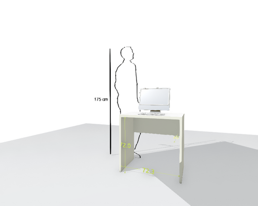 MAIN DESK