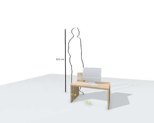 MAIN DESK