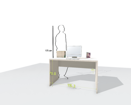 MAIN DESK