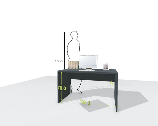 MAIN DESK