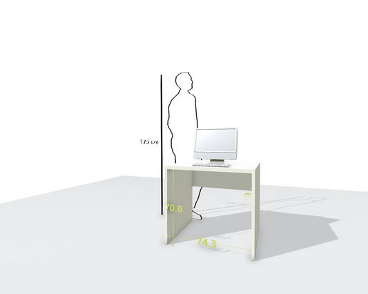 MAIN DESK