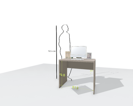 MAIN DESK