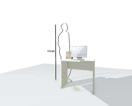 MAIN DESK