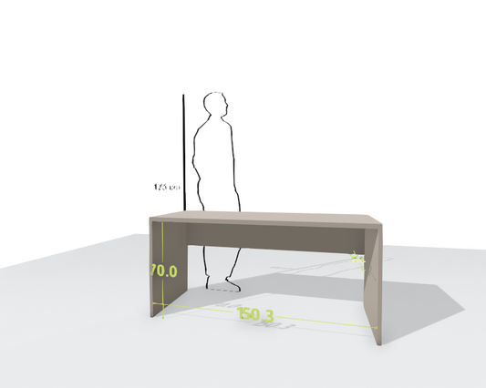 MAIN DESK