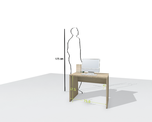 MAIN DESK