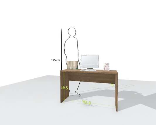 MAIN DESK