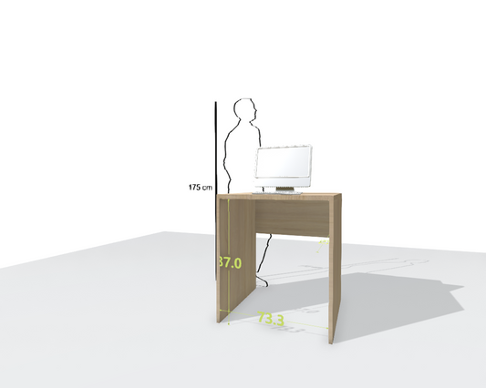 MAIN DESK
