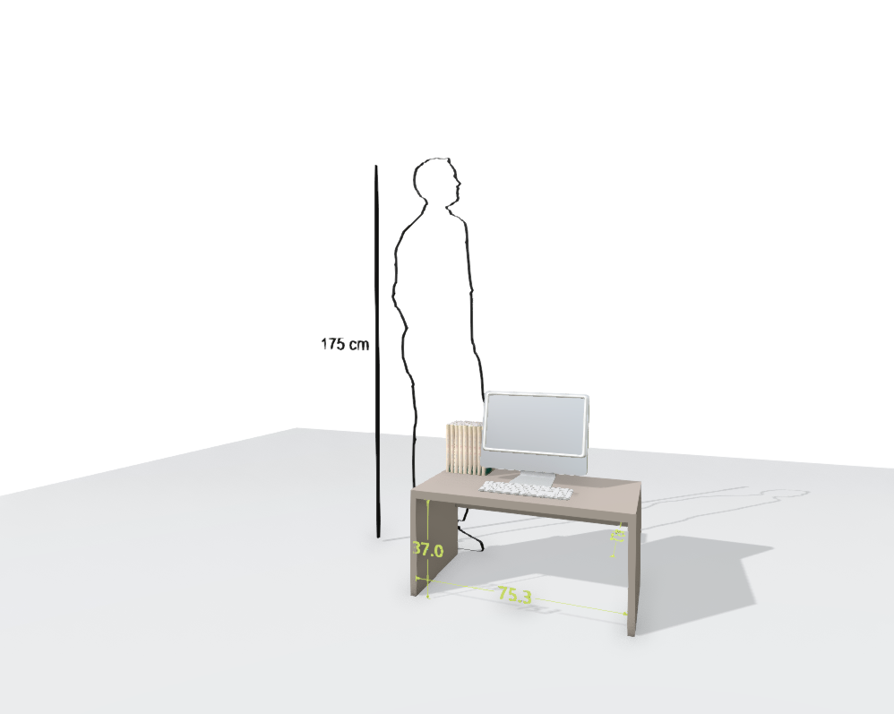 MAIN DESK