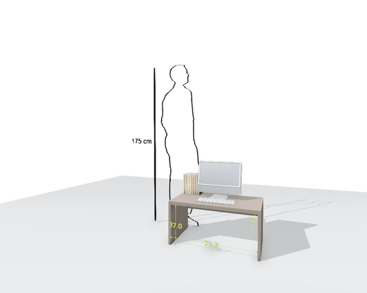 MAIN DESK