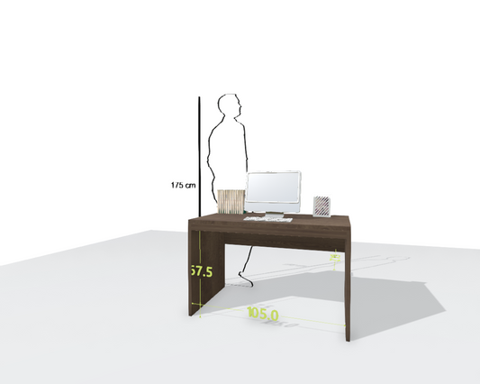MAIN DESK