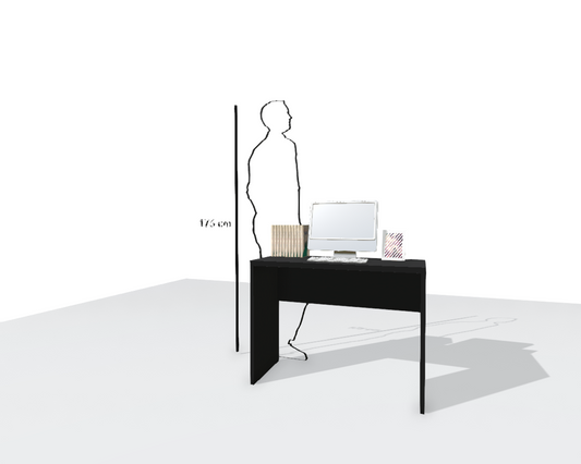 MAIN DESK
