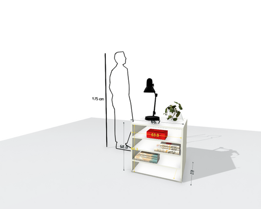 MAIN SHELF