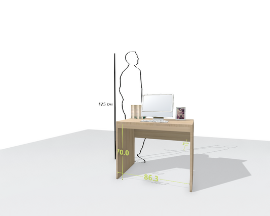 MAIN DESK