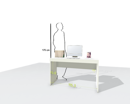 MAIN DESK